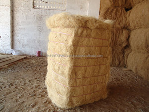 Fibre de coco / Fibre de coque de noix de coco / Fibre de coco en 2020 - Product Image 4