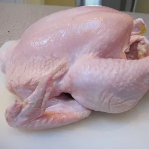 Pollo intero halal congelato