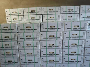 Vente en gros extraction d'eau de coco/noix de coco fraîche - Product Image 2