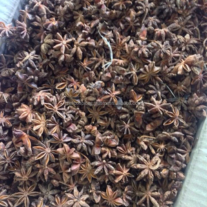 Picante y de alta calidad de anís estrellado, VIETNAM - Product Image 3