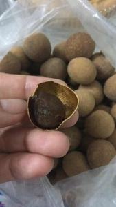 Chips de collation aux fruits Longan séchés naturels du Vietnam Emballage en vrac OEM au goût sucré pour boisson Detox - Product Image 6