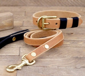 Collar de cuero hecho a mano para perro con latón macizo dorado, Collar de cuero para mascotas, perros etiquetas personalizadas WDS-0054 - Product Image 2