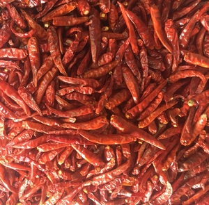 Pimienta fresca de Chile rojo orgánico Producto vegetal natural del fabricante real para la alimentación y la agricultura Listo para la exportación - Product Image 4