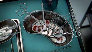 TC Front Side Pin Wire Cutter Carbide Inserts Blades <b>Tungsten</b> Carbide 18cm German Stainless Steel - Product Image 5