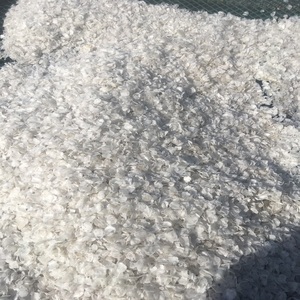 ¡CALIENTE! ESCALAS DE PESCADO SECAS-LISTO PARA EXPORTAR - Product Image 3