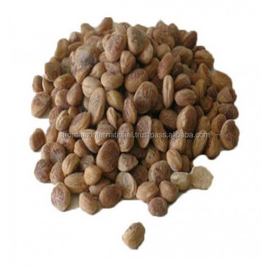 Huile de support d'huile essentielle Chironji naturelle certifiée biologique sous forme liquide - Product Image 4