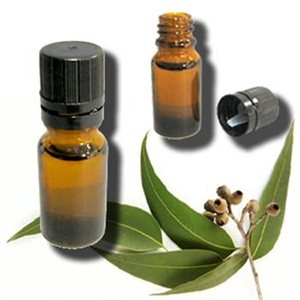 Aceite de eucalipto puro 100% de la India en forma líquida en botella o envase de tambor cultivado salvaje-Proveedor directo - Product Image 1