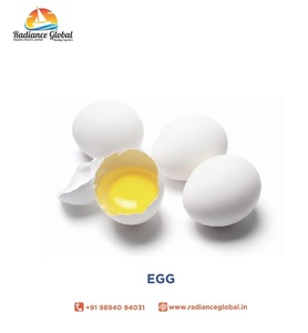 Huevos de Gallina Blancos de la Mejor Calidad - Product Image 1