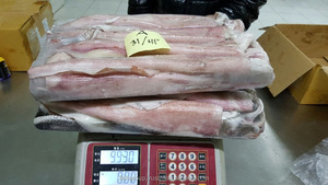 Mực Đỏ Đông Lạnh Loligo, Mực Đóng Gói Phong Cách Số Lượng Lớn, Hàng Mới Về, Có Trọng Lượng, Xuất Xứ La Tinh - Product Image 3