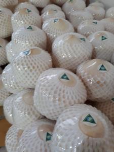 Noix de coco en forme de diamant/jeune noix de coco fraîche vietnamien/Ms: vacances - Product Image 6