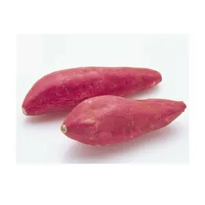 Batata morada japonesa, producto nuevo a buen precio de Vietnam