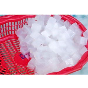 คุณภาพดีที่สุด-RAW Nata de Coco-Holiday จากเวียดนาม - Product Image 4