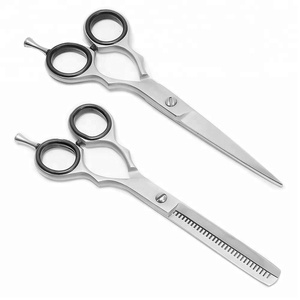 RHS Professionnel Ciseaux De Coiffure Ciseaux de coupe de Cheveux Ensemble - Product Image 1