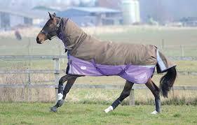 Couverture d'hiver pour cheval, imperméable, 1200D, 300gsm, 400gsm, résistante, protection contre le froid - Product Image 6