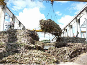 BAGAS DE CAÑA DE AZÚCAR FERMENTADAS/ BAGAS DE CAÑA DE AZÚCAR/ RESIDUOS AGRÍCOLAS - Product Image 3