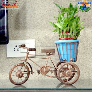 Jardinière en fer forgé pour bicyclette et jardin, support décoratif en métal pour plantes pour patio extérieur et décoration de jardin domestique - Product Image 6