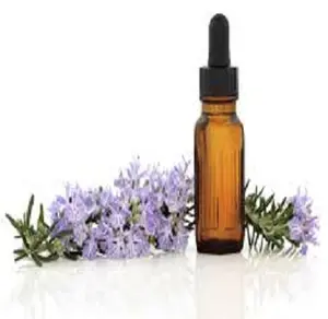 Rosemary oil Suppliers from India