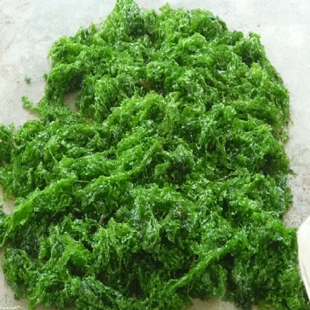 Ulva Lactuca seaweed with premium quality//best price
