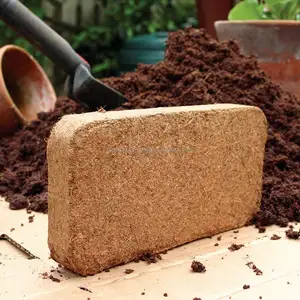 COCOPEAT-Polvo de turba para plantas, polvo de turba de COCO orgánico, briquetas de turba