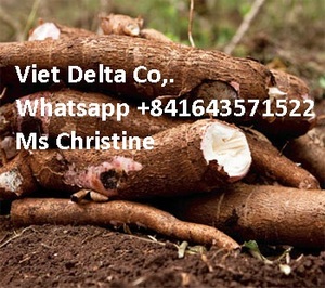 Produit vietnamien naturel, poudre de cassava, dyicho extensible, vente en gros - Product Image 4
