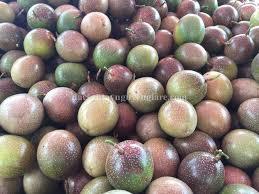 PRIX CONCURRENTIEL FRUIT DE PASSION FRAIS HAUTE QUALITÉ - Product Image 4