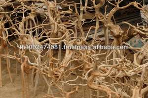 รากต้นไม้น้ำจริง - Product Image 6