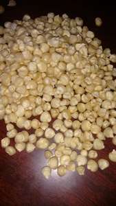 White Maize / Corn Animal Feed - Product Image 4