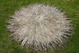 Sombrilla de Bambú y Pasto Marino/ Cubierta de Pasto Marino OFERTA - Product Image 4