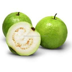 Aceite de semilla de Guava, compra en línea a granel - Product Image 5