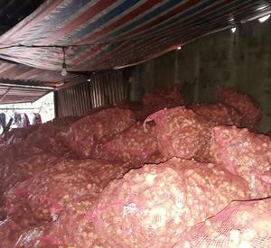 Jengibre FRESCO de Vietnam PRECIO COMPETITIVO - Product Image 5