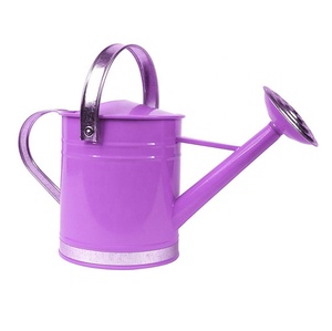 Arrosoir d'intérieur en métal galvanisé en acier fait main grossiste fournisseur vente directe d'usine - Product Image 1