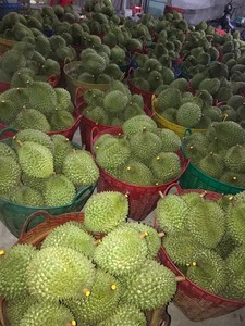 IQF DURIAN proveedores de carne en VIETNAM en 2022/MS Jennie - Product Image 3