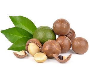 NOIX DE MACADAMIA PREMIUM-Noix de macadamia décortiquées - Product Image 2