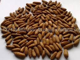 Nueces de Pecán Crudas Secas de Primera Calidad al Mejor Precio - Product Image 2