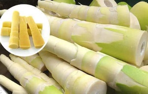 Brotes de bambú NATURAL de VIETNAM - Product Image 6