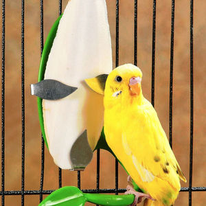 Os de seiche séché pour cheval, bétail et cochon, chien-Complément alimentaire polyvalent et riche en nutriments - Product Image 1