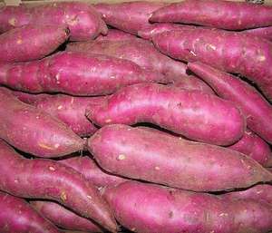 <b>Fresh</b> Purple Sweet <b>Potatoes</b> for Dieting - Product Image 2