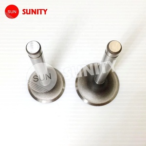 Price Widely Garden Machine Engine Single Cylinder High Pressure <b>Valve</b> <b>Parts</b> - Product Image 1