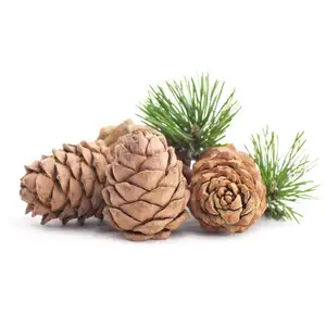 Huile Essentielle Pure de Cèdre et d'Arbre à Thé de Qualité Cosmétique Certifiée GMP Inde Prix de Gros en Vrac Échantillon Gratuit Services de Livraison Rapide - Product Image 1
