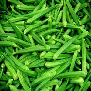 Légumes frais pour femmes, expédition au doigt, OKRA frais, 1 pièce