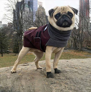 Manteau d'hiver chauffant pour chien, tenue décontractée, au Design Super élégant et confortable, pour chiens, différentes tailles, - Product Image 2