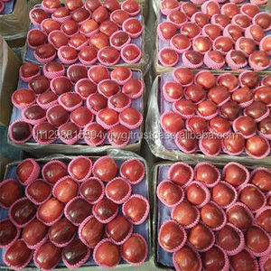 พรีเมี่ยมกล้วยคาเวนดิชสดจากเอกวาดอร์เพื่อขาย - Product Image 1