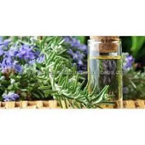 Perfume Rosemary at Good Price for Rosemary Oil Export