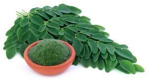 Poudre de MORINGA OLEIFERA - VACANCES - Product Image 2