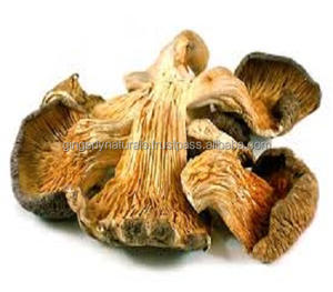 Mores naturelles et pures, provenant de l'inde - Product Image 5