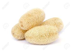 Coussinets de corps écologiques Meilleur choix au Vietnam Éponge de luffa naturelle - Product Image 4