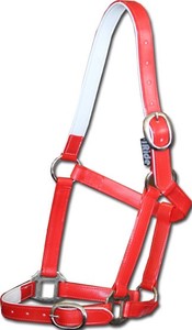 Nouveau modèle de marque OEM/ODM de licou de cheval à haute résistance AIPVCH-007 à vendre - Product Image 5