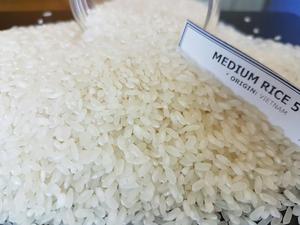 ข้าว CAMOLINO อียิปต์ข้าวกลางสำหรับการขาย - Product Image 2