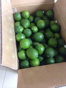 Limón fresco, limón fresco, cítricos verdes - Product Image 6