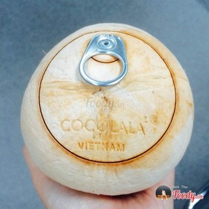 Coco Fresco Joven, Sabor Dulce Natural, Fácil de Abrir, para Bebidas, Servicio de Alimentos y Exportación - Product Image 5
